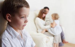 Как бороться с завистью у ребенка?